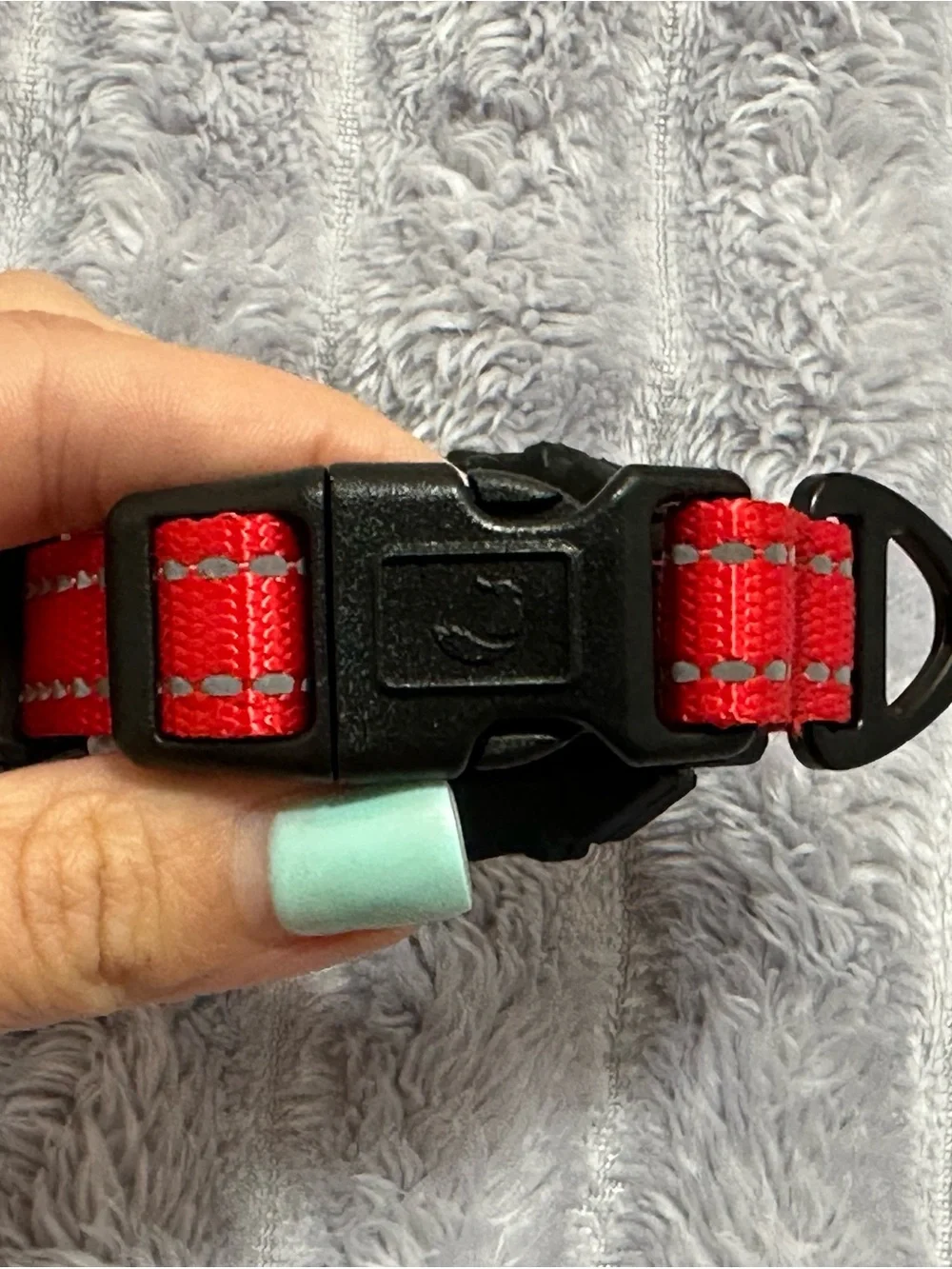 Red Adjustable Dog Collar with Secure Buckle and GPS Tracker Slot